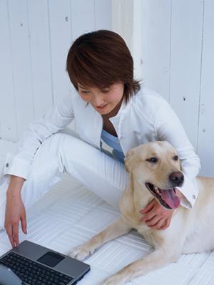 ごはんが美味しく炊ける土鍋が人気です